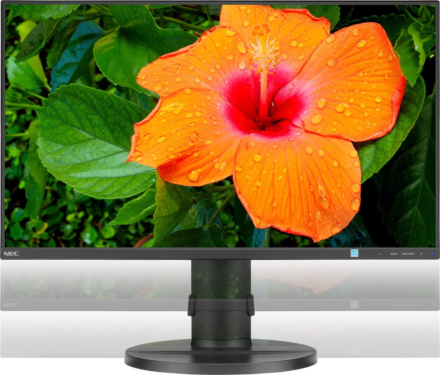 Монитор 27" NEC E271N Black (60004496) купить | Elmir - цена, отзывы ...
