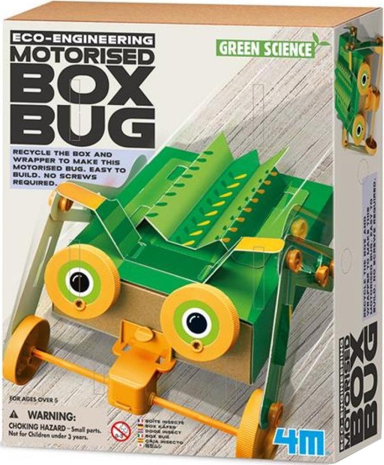 Box bug