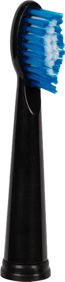 Набор насадок Bravis Brushes Set 4 шт. для XM-801 Black купить